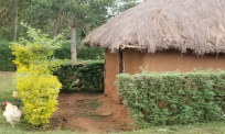 for-the-hut-home-goods
